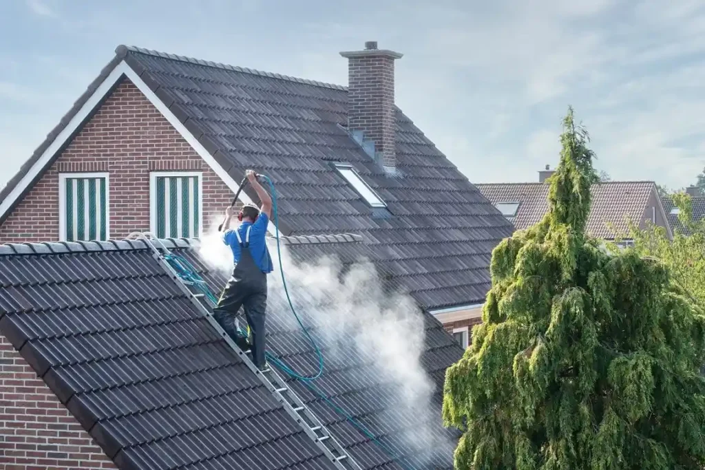 roof cleaning company near me